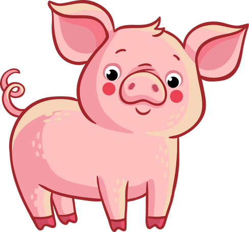 Pig Cartoon Illustration
