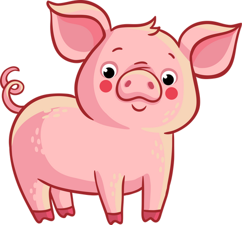 Pig Cartoon Illustration